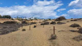 2023-GC-Dunas_Maspalomas-026.jpg